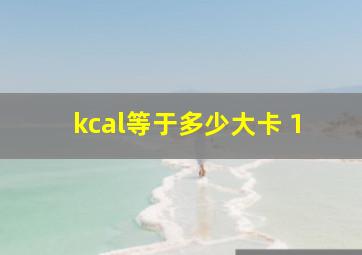 kcal等于多少大卡 1